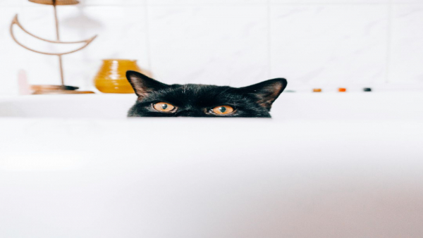 介護求人票の裏側を覗く！介護士以外の職種と仕事内容を徹底解説